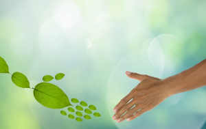 What is Special about Green Cleaning and Green Cleaning Products?